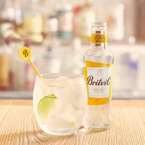 Prepare the best Gin & Tonic with Britvic tonic water.